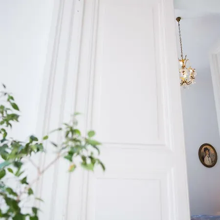 Domus Aurea 295 公寓